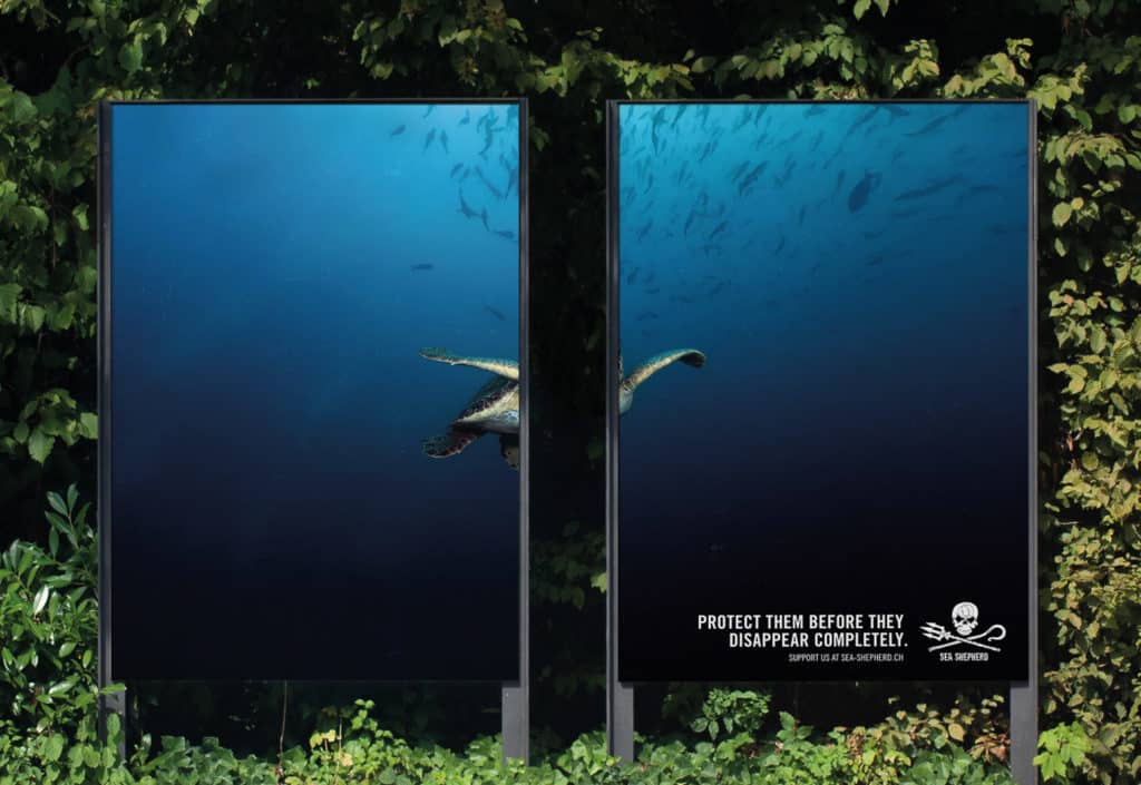 campagne affichage sea shepherd suisse